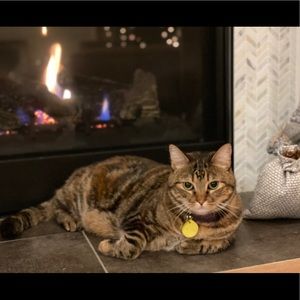 Meet your Posher, Chloe